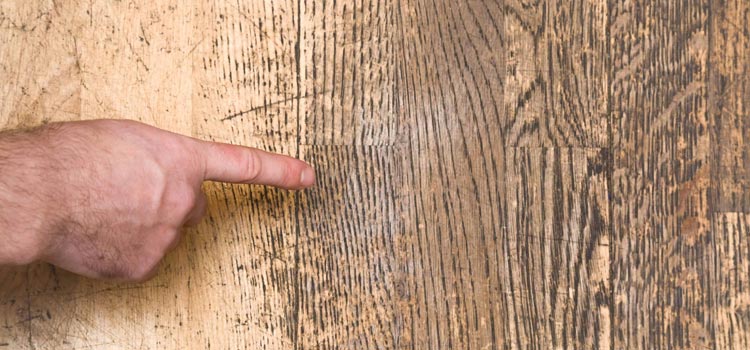 Wood Door Scratch Repair in Avocado Heights